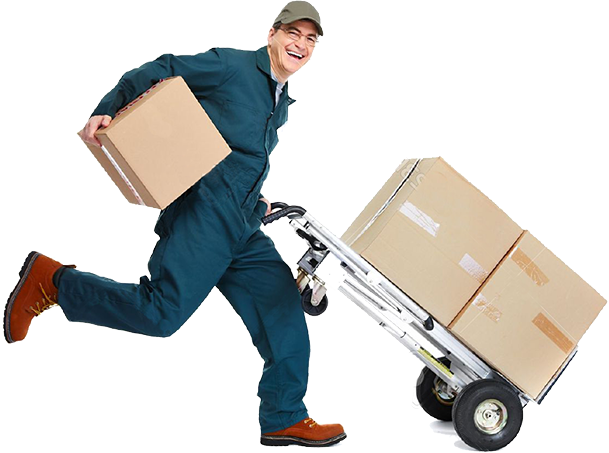 Fast parcel delivery across India and worldwide